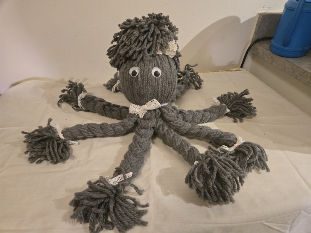 Octopus