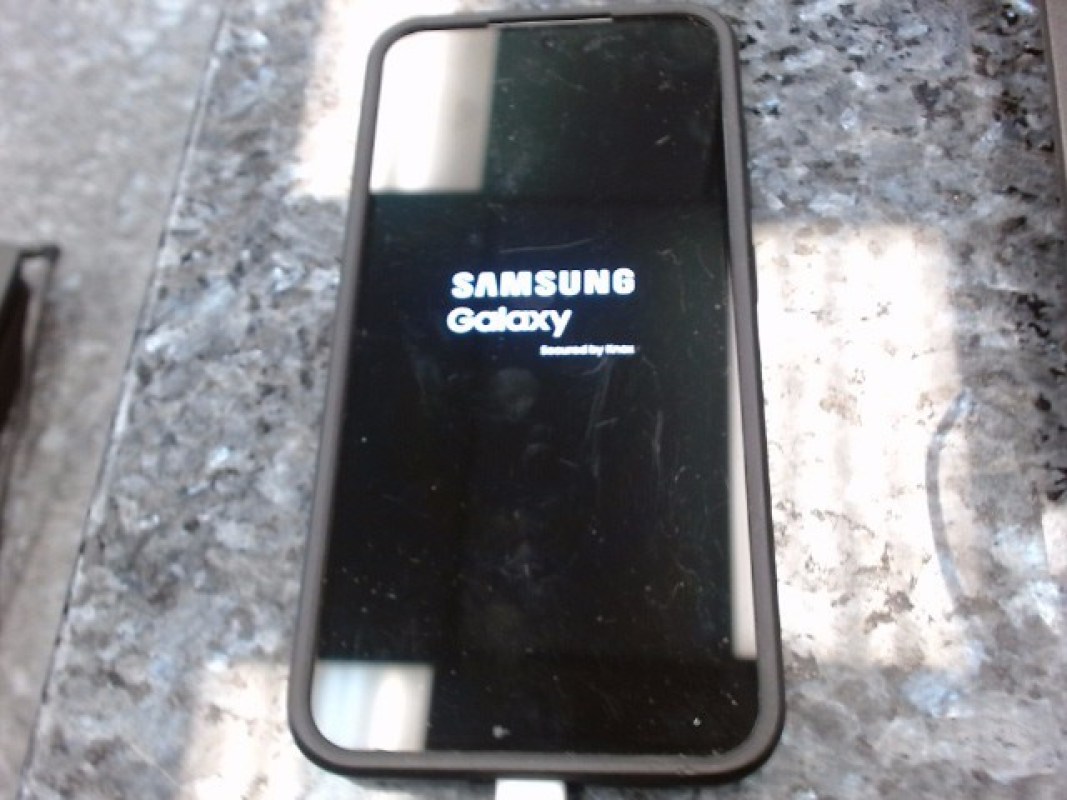Samsung Galaxy S25